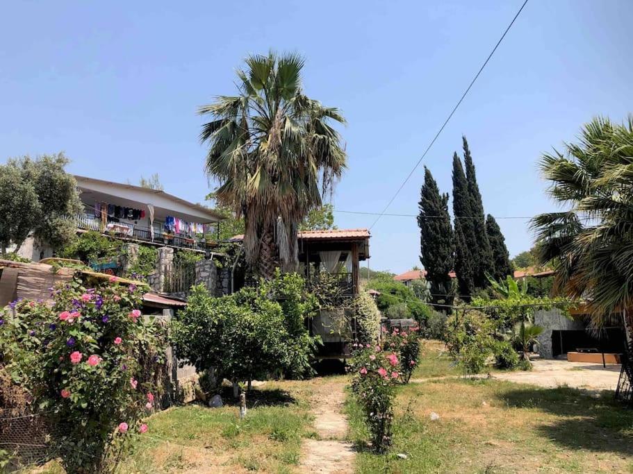 Zirkon Doga Butik Otel Fethiye Exterior photo